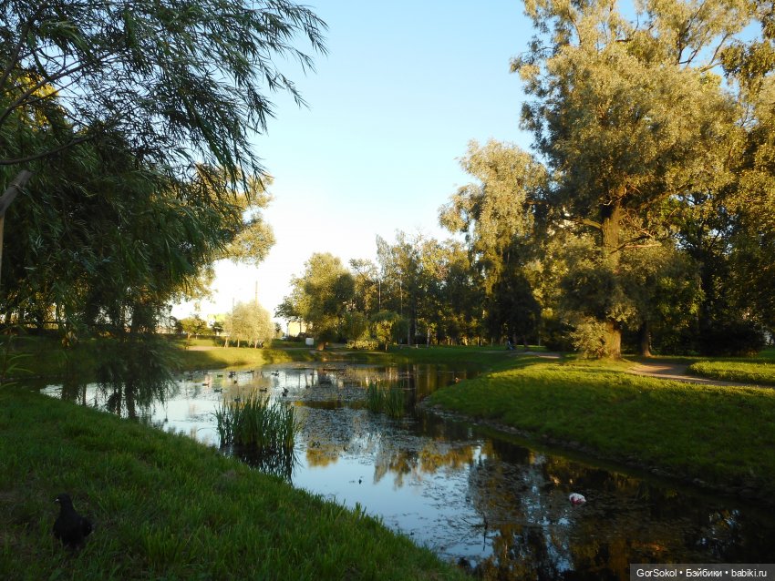 Дикие и амбициозные 1 серия