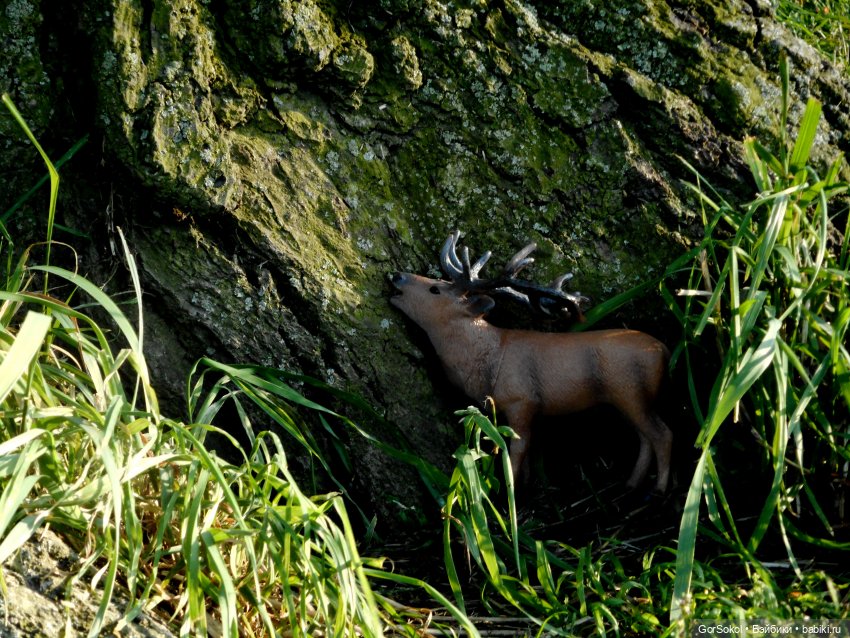 Дикие и амбициозные 1 серия (фото 10)