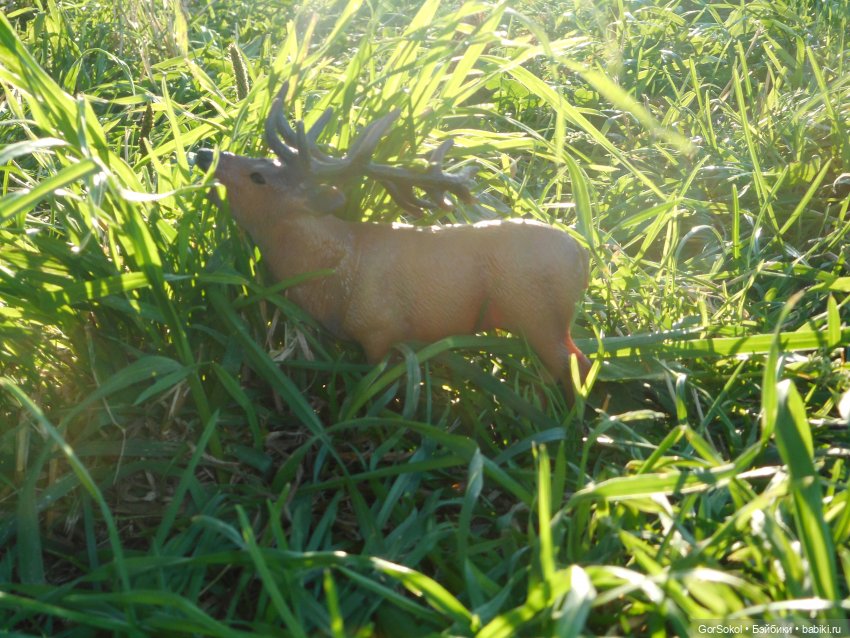 Дикие и амбициозные 1 серия