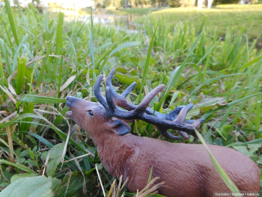 Дикие и амбициозные 1 серия