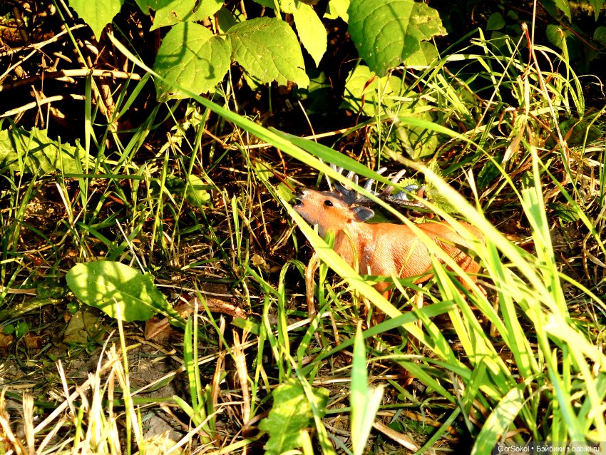 Дикие и амбициозные 1 серия