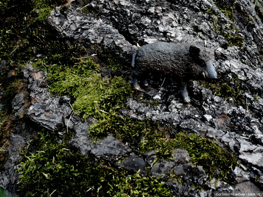 Дикие и амбициозные 1 серия (фото 8)