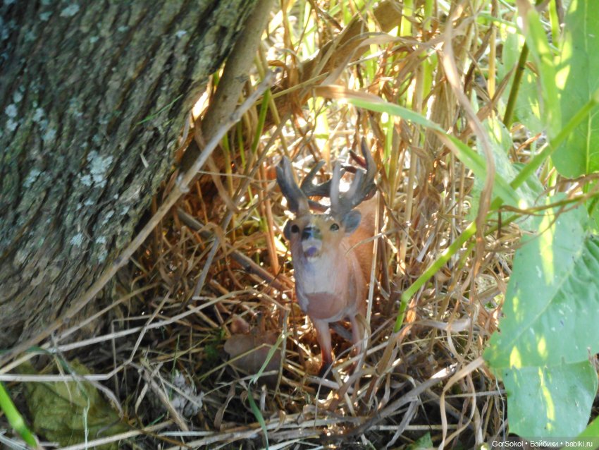 Дикие и амбициозные 1 серия
