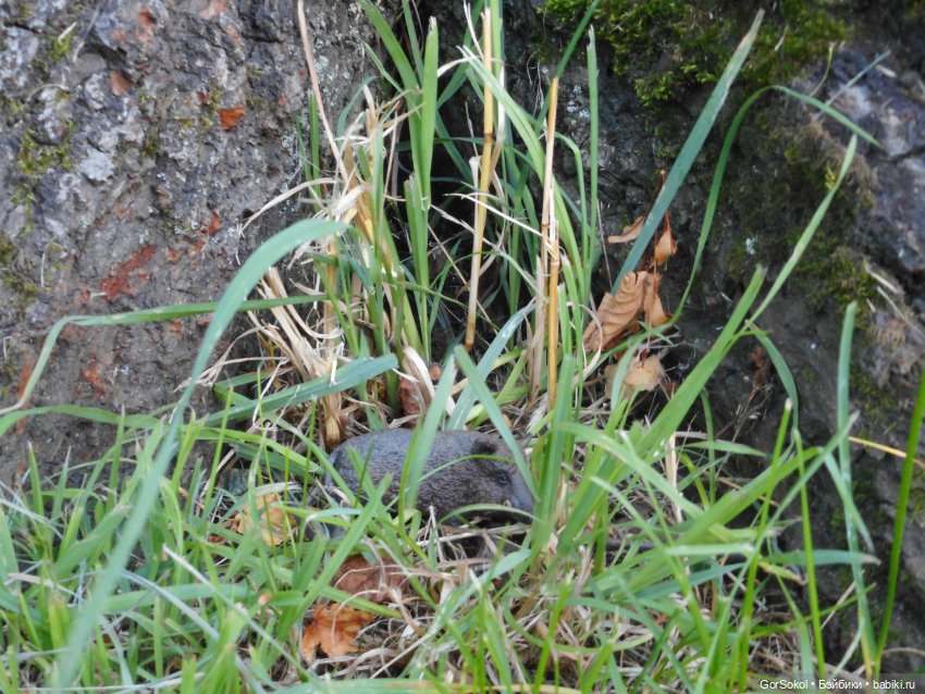 Дикие и амбициозные 1 серия (фото 6)