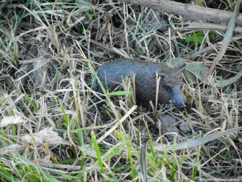 Дикие и амбициозные 1 серия