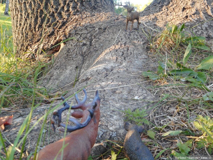 Дикие и амбициозные 2 серия