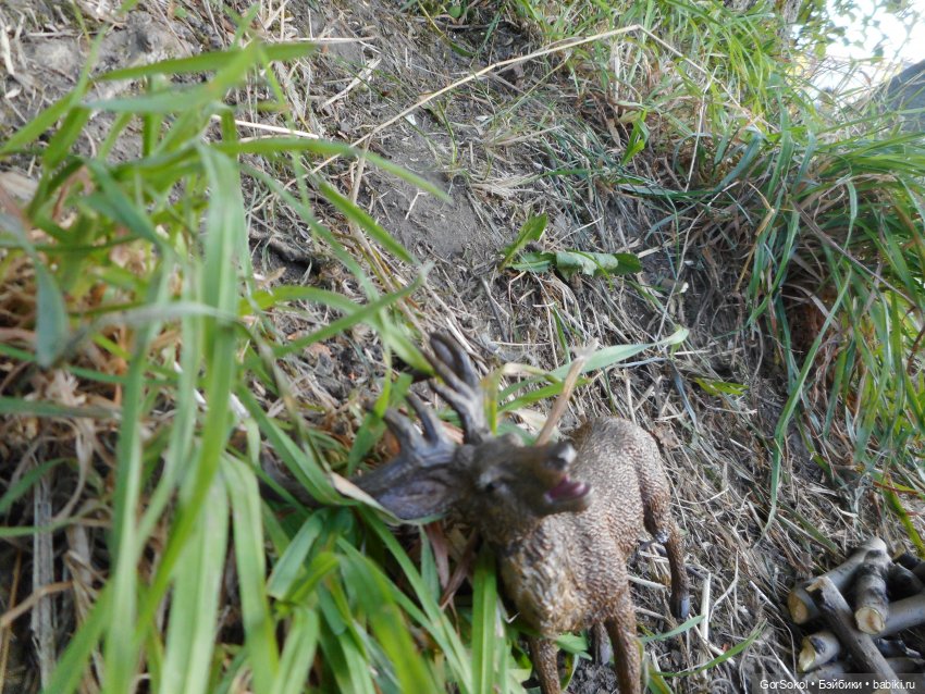 Дикие и амбициозные 2 серия