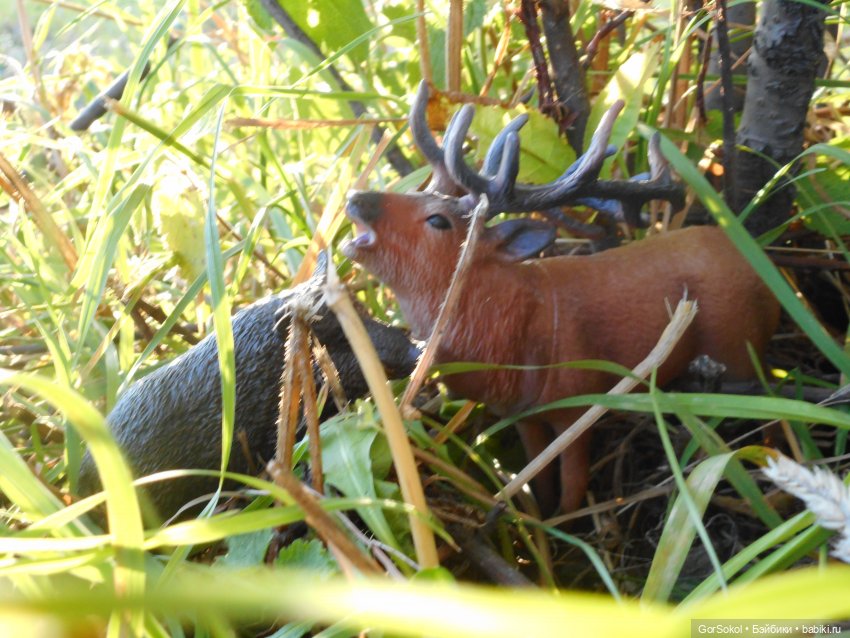 Дикие и амбициозные 2 серия (фото 5)