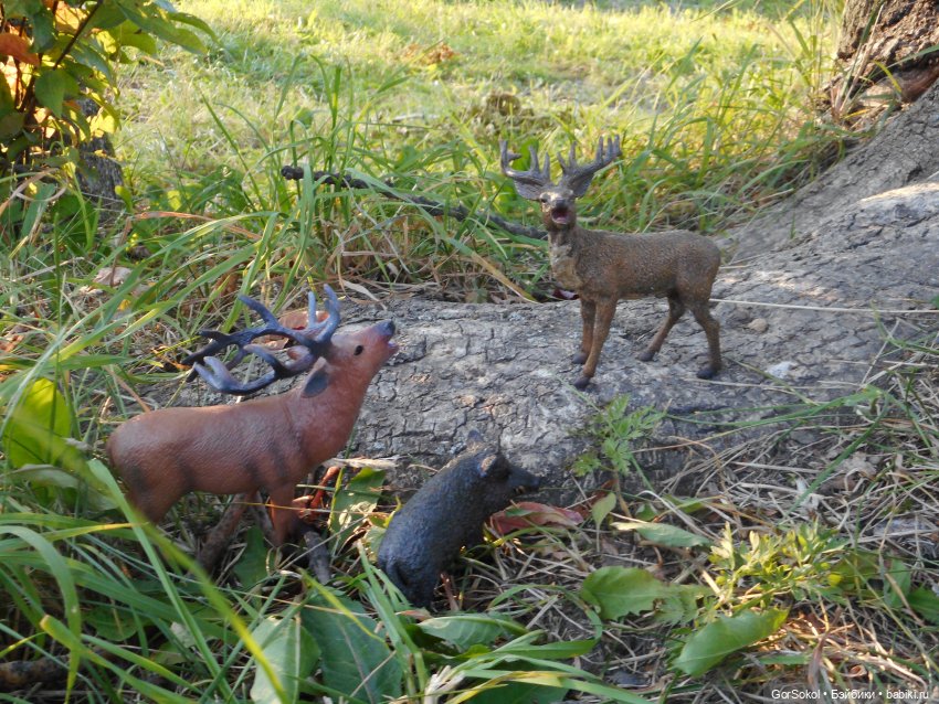 Дикие и амбициозные 2 серия