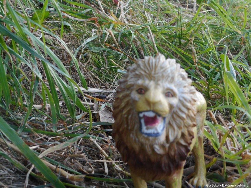 Дикие и амбициозные 2 серия