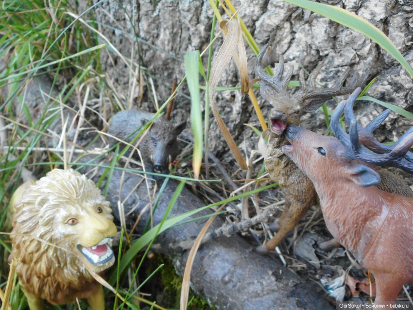 Дикие и амбициозные 2 серия