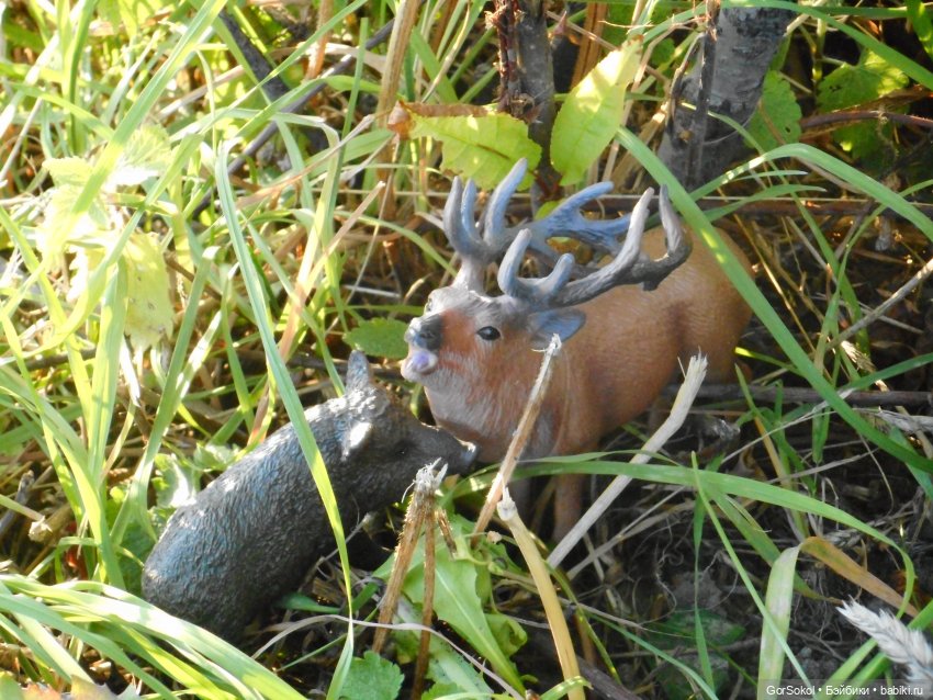 Дикие и амбициозные 2 серия (фото 6)