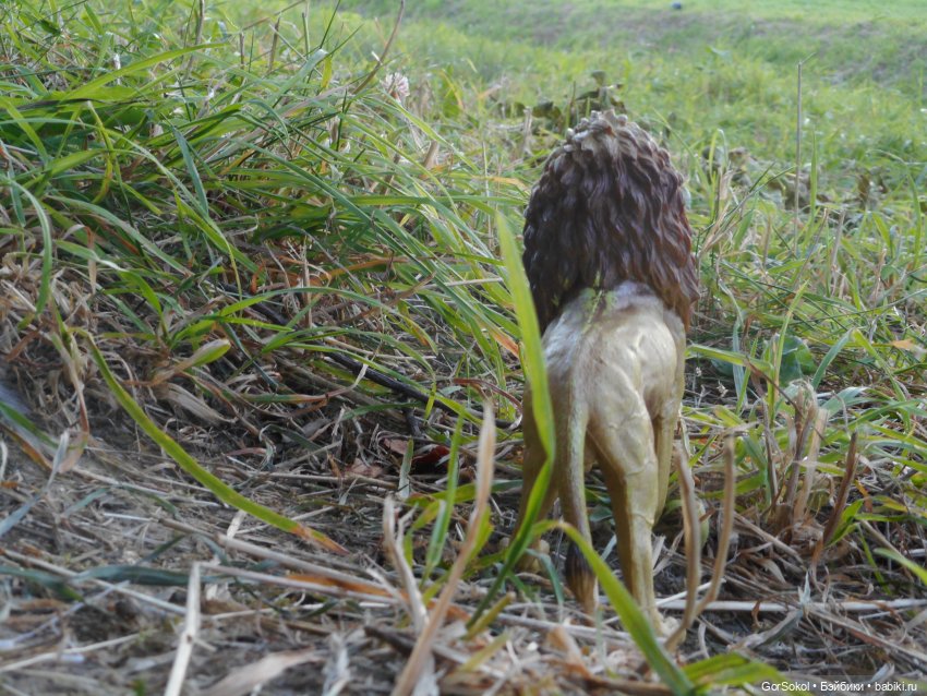 Дикие и амбициозные 2 серия