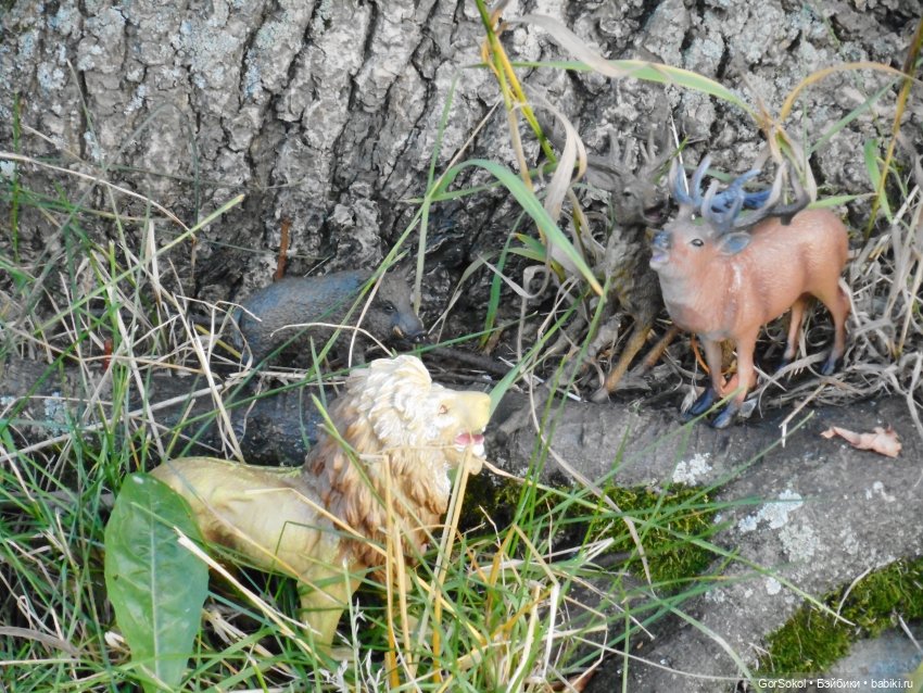 Дикие и амбициозные 2 серия