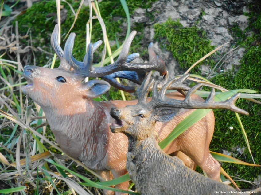 Дикие и амбициозные 2 серия