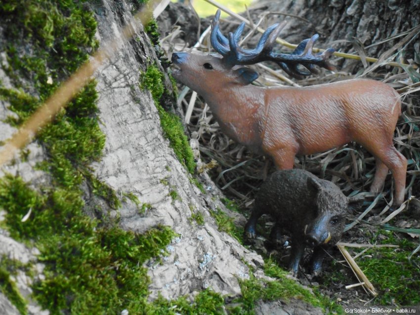 Дикие и амбициозные 2 серия