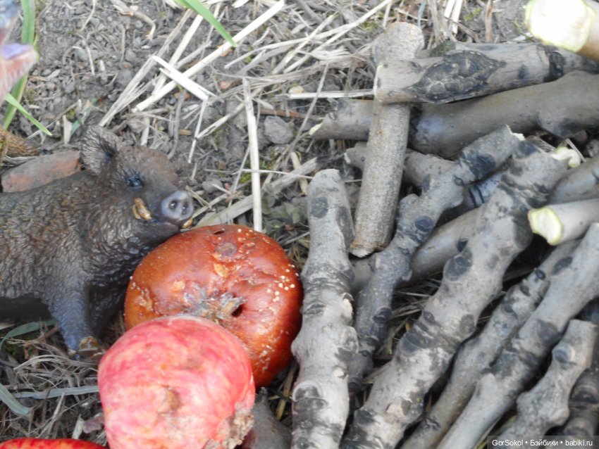 Дикие и амбициозные 2 серия