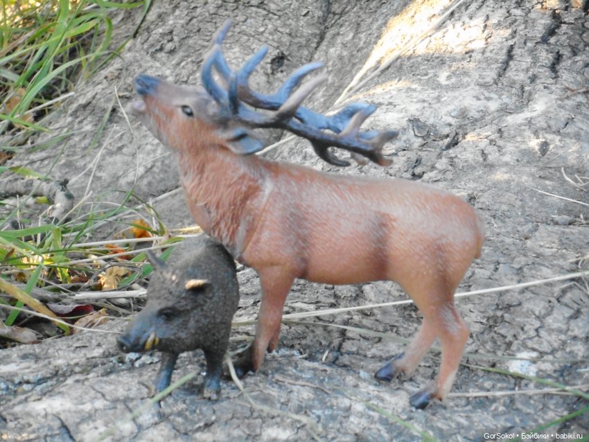 Дикие и амбициозные 2 серия (фото 8)