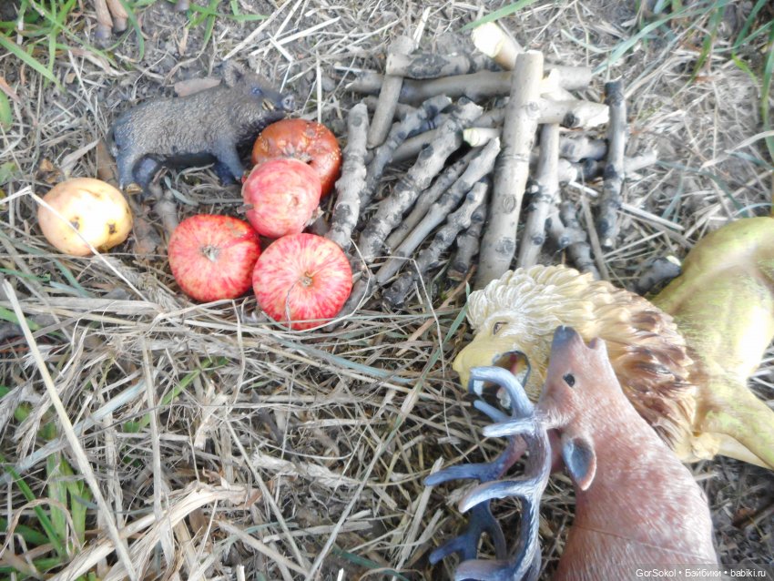 Дикие и амбициозные 2 серия