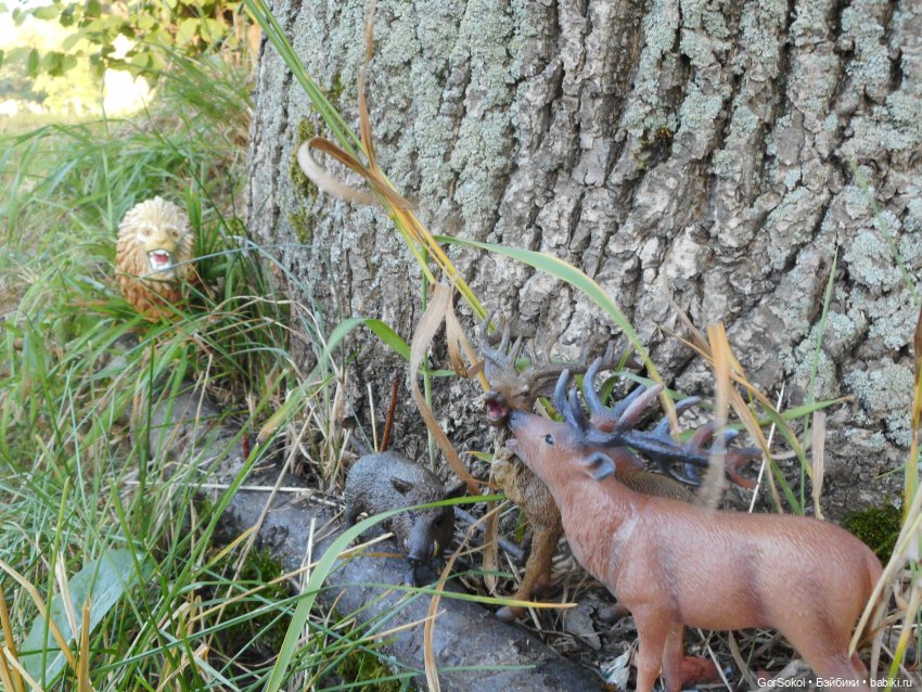 Дикие и амбициозные 2 серия