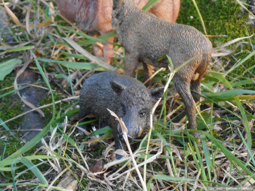 Дикие и амбициозные 2 серия