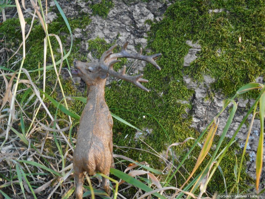 Дикие и амбициозные 2 серия