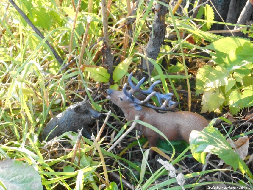 Дикие и амбициозные 2 серия (фото 4)