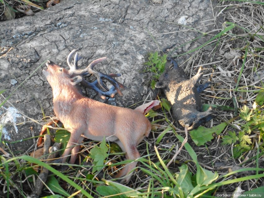 Дикие и амбициозные 2 серия (фото 10)