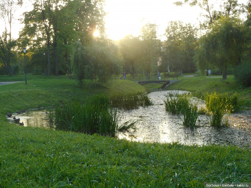 Дикие и амбициозные 2 серия (фото 2)