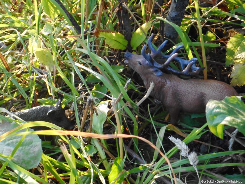 Дикие и амбициозные 2 серия (фото 3)