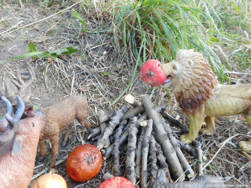 Дикие и амбициозные 2 серия