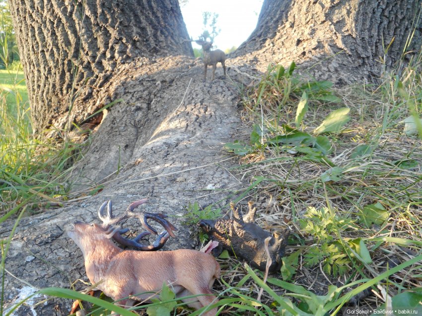 Дикие и амбициозные 2 серия