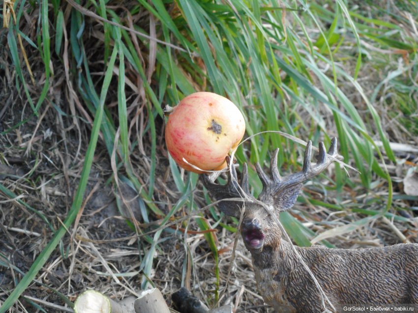 Дикие и амбициозные 2 серия