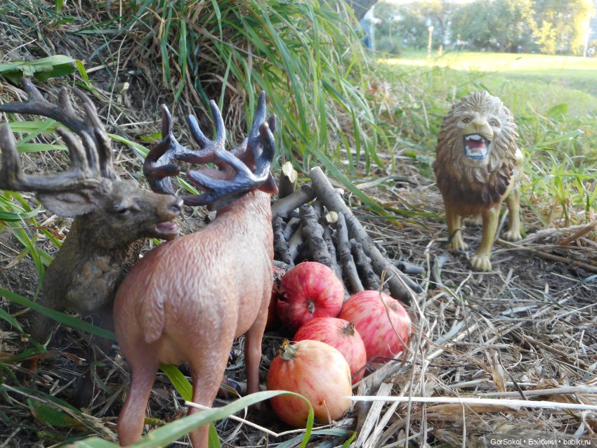 Дикие и амбициозные 2 серия