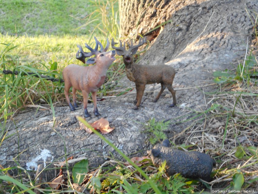 Дикие и амбициозные 2 серия