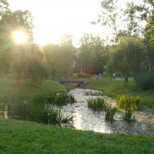 Дикие и амбициозные 2 серия