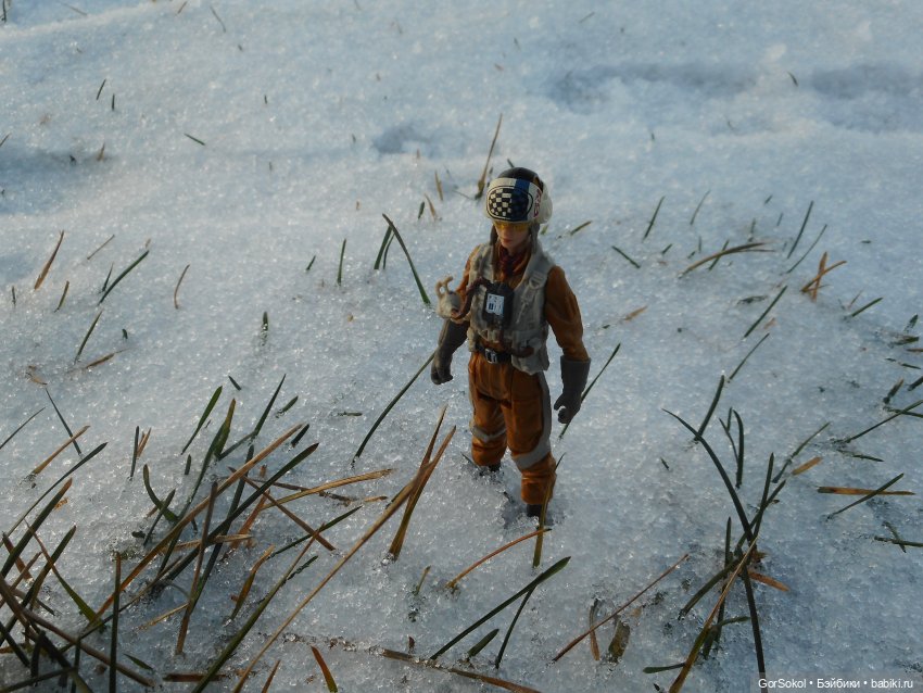 Просто хороший день — Зарисовки из кукольной жизни: фотоистории