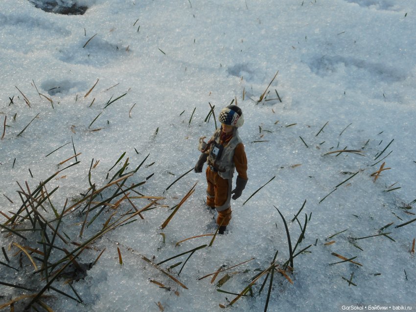 Просто хороший день — Зарисовки из кукольной жизни: фотоистории