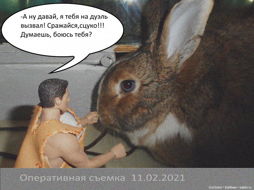 Своя грядка Выпуск 1 | Бэйбики Своя грядка Выпуск 1 — Онлайн совместное творчество