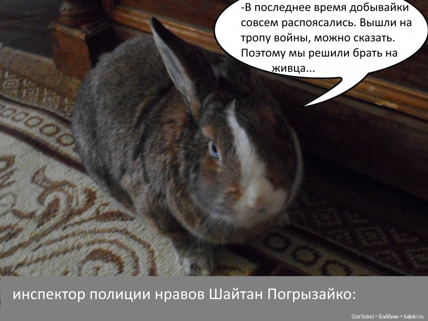 Своя грядка Выпуск 1 | Бэйбики Своя грядка Выпуск 1 — Онлайн совместное творчество