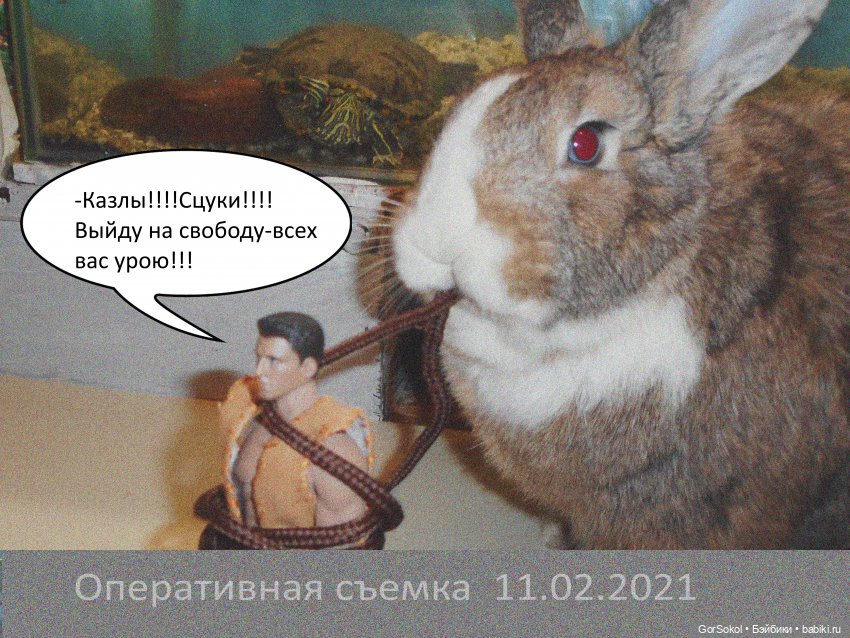 Своя грядка Выпуск 1 | Бэйбики Своя грядка Выпуск 1 — Онлайн совместное творчество