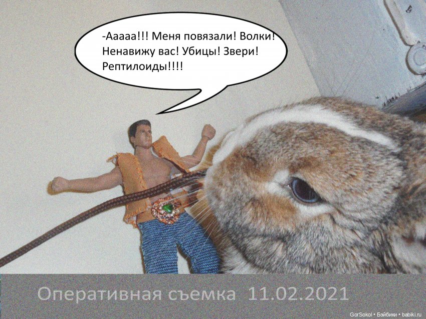 Своя грядка Выпуск 1 | Бэйбики Своя грядка Выпуск 1 — Онлайн совместное творчество