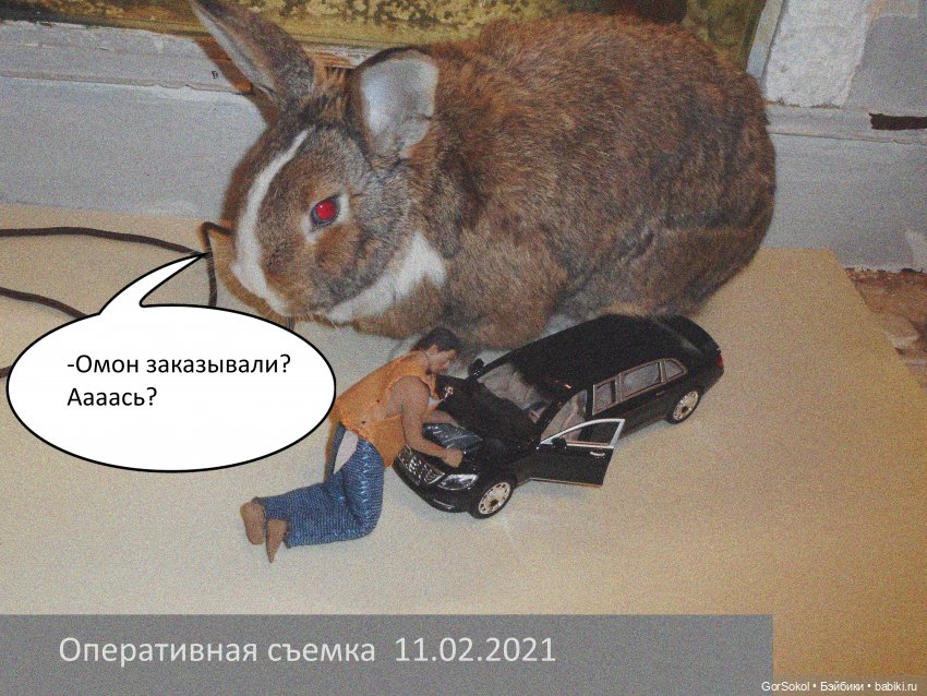 Своя грядка Выпуск 1 | Бэйбики Своя грядка Выпуск 1 — Онлайн совместное творчество