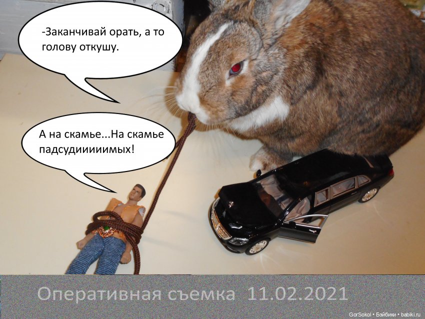 Своя грядка Выпуск 1 | Бэйбики Своя грядка Выпуск 1 — Онлайн совместное творчество