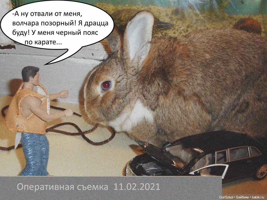 Своя грядка Выпуск 1 | Бэйбики Своя грядка Выпуск 1 — Онлайн совместное творчество