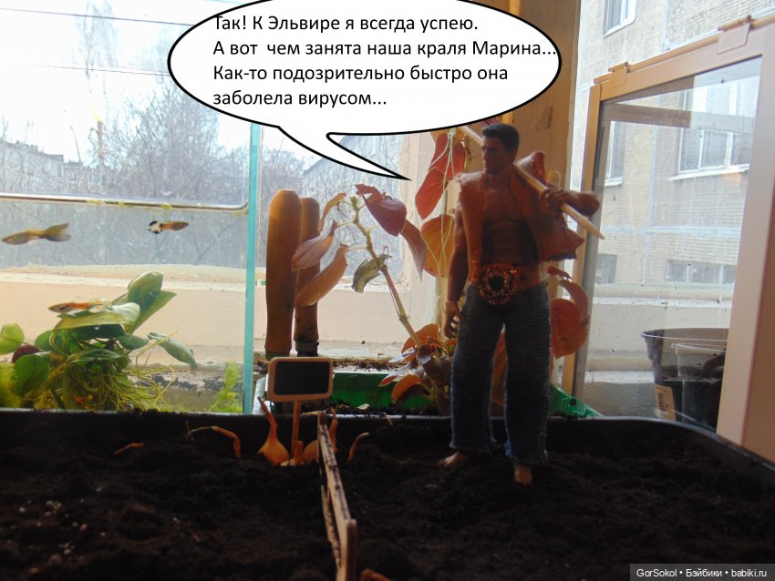 Своя грядка выпуск 3 — Онлайн совместное творчество