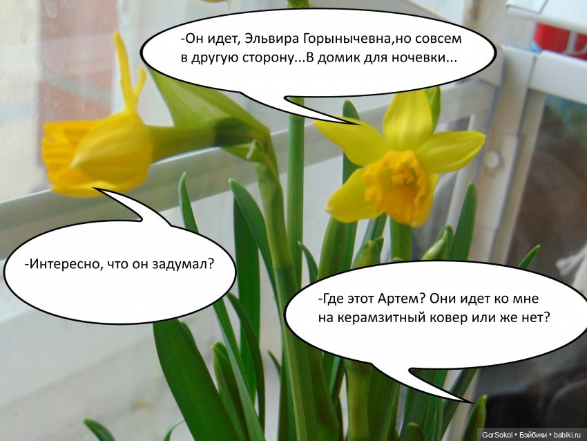 Своя грядка выпуск 3 — Онлайн совместное творчество