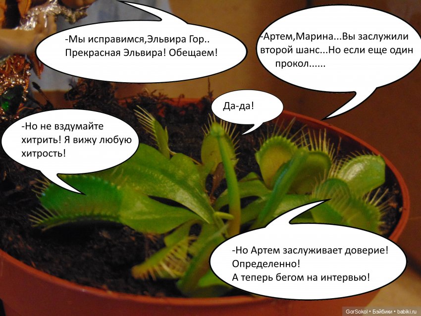 Своя грядка выпуск 3 — Онлайн совместное творчество