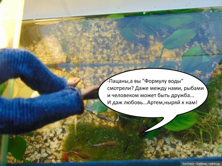 Своя грядка выпуск 3 — Онлайн совместное творчество (фото 8)