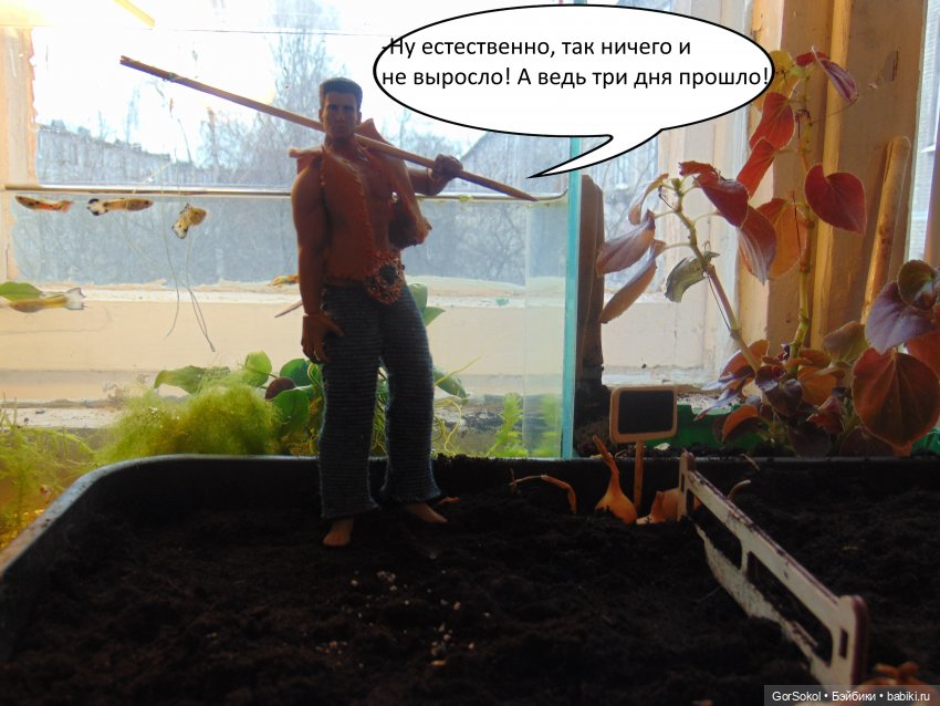 Своя грядка выпуск 3 — Онлайн совместное творчество